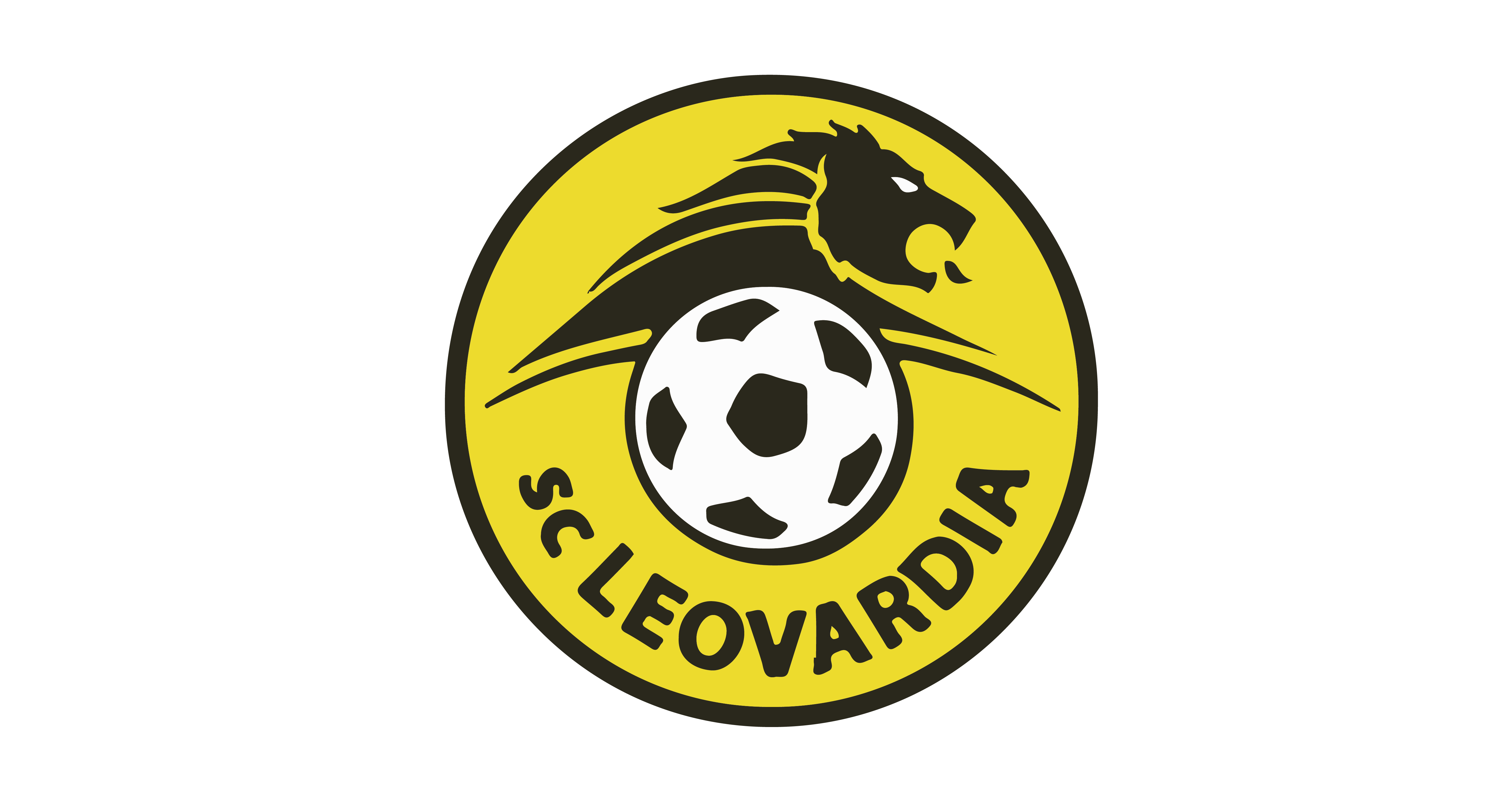 mpluskassa-leovardia