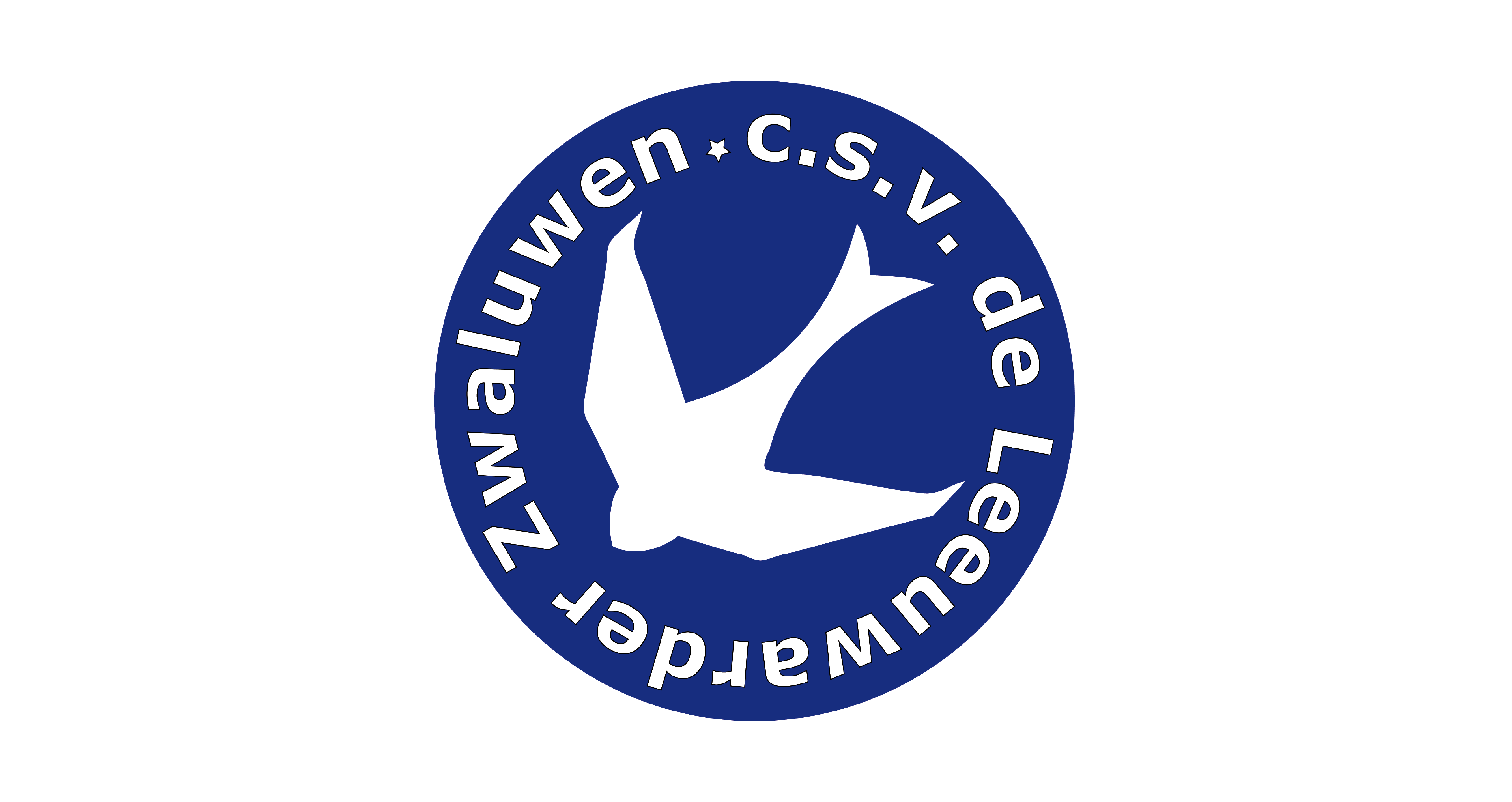 mpluskassa-leeuwarder-zwaluwen
